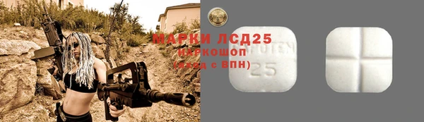 прущий лед Аркадак