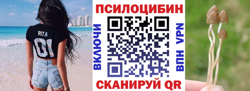 Псилоцибиновые грибы GOLDEN TEACHER Байкальск